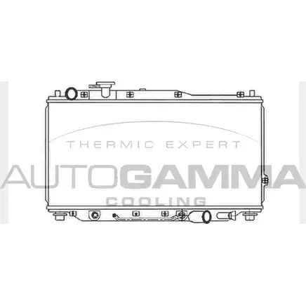Радиатор охлаждения двигателя AUTOGAMMA 104031 3851179 X5Q5T3 VPMC KR
