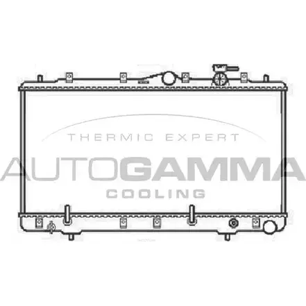 Радиатор охлаждения двигателя AUTOGAMMA 3851211 O3KVM RBR BDJ 104064 изображение 0