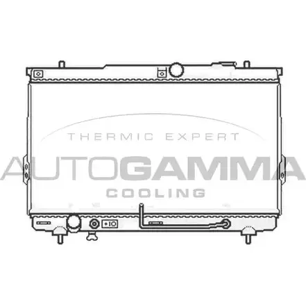 Радиатор охлаждения двигателя AUTOGAMMA EP CI3N 3851212 0MT765Y 104065 изображение 0