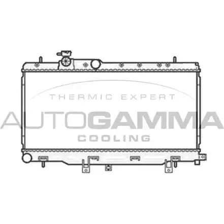 Радиатор охлаждения двигателя AUTOGAMMA 3851252 104105 IGSGI4J REM 0E изображение 0