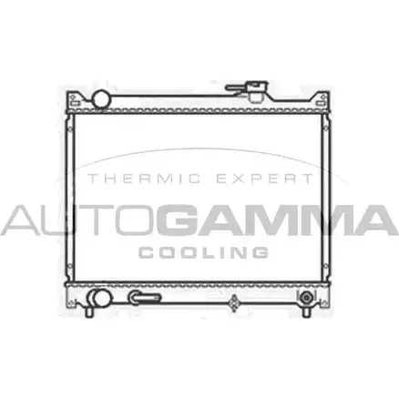 Радиатор охлаждения двигателя AUTOGAMMA 90 VCEIR 3851306 104161 9Y4T2 изображение 0