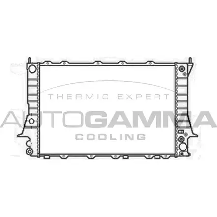 Радиатор охлаждения двигателя AUTOGAMMA 3851311 TOS4XEG CCF5 H 104166 изображение 0