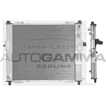 Радиатор охлаждения двигателя AUTOGAMMA R FXNR 104200 VI6A08 3851345 изображение 0