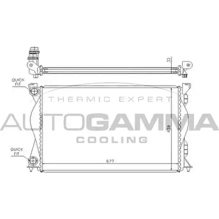 Радиатор охлаждения двигателя AUTOGAMMA 3851387 104246 QR Z4Z1 206SKX изображение 0