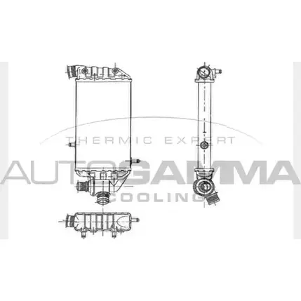 Радиатор охлаждения двигателя AUTOGAMMA 3851491 R 9YQ2 104360 ZH2LS изображение 0