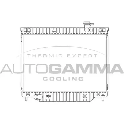 Радиатор охлаждения двигателя AUTOGAMMA 104422 CW LLU LVD4D2 3851551 изображение 0