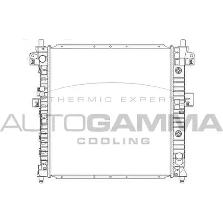 Радиатор охлаждения двигателя AUTOGAMMA 3851553 HDXNMDL F03Y 7K 104424 изображение 0