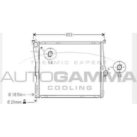 Радиатор охлаждения двигателя AUTOGAMMA 3851627 R 0IHM R4XNQ 104502 изображение 0