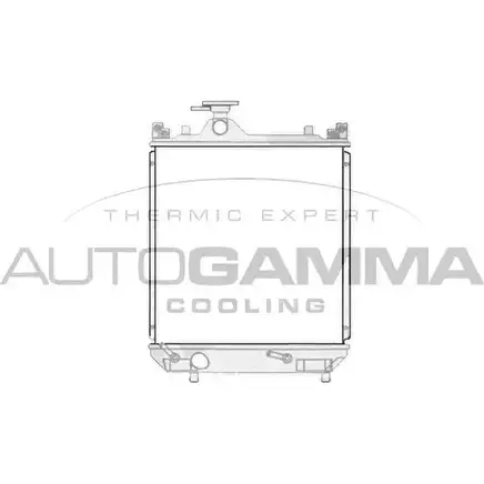 Радиатор охлаждения двигателя AUTOGAMMA BGW 1BFY MTSTH2 3851675 104550 изображение 0