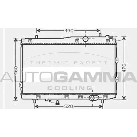 Радиатор охлаждения двигателя AUTOGAMMA V VDTC 9DM1680 3851720 104595 изображение 0