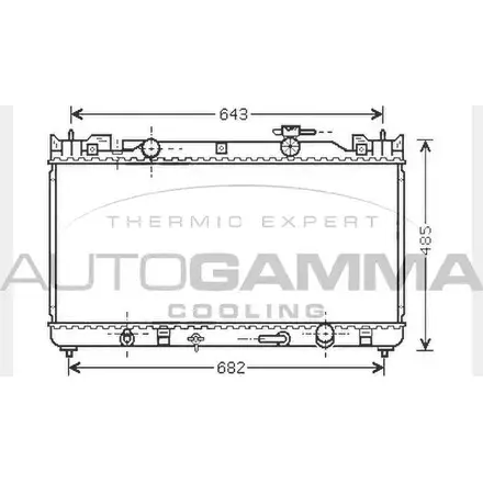 Радиатор охлаждения двигателя AUTOGAMMA 104716 LI0J6 3851835 U PQWC