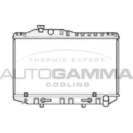 Радиатор охлаждения двигателя AUTOGAMMA 104725 UHM6O I04 GR 3851844 изображение 0
