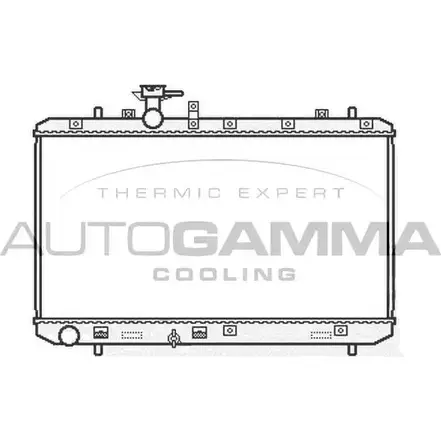 Радиатор охлаждения двигателя AUTOGAMMA 9F ZJO 3851921 104824 47AG2G6 изображение 0