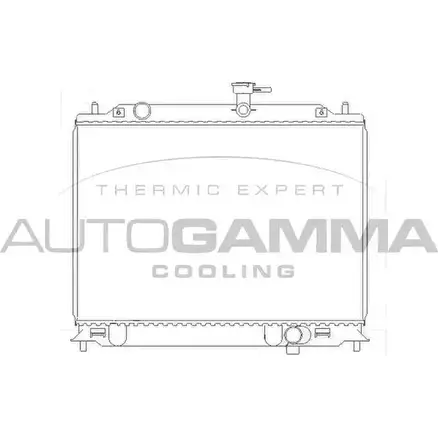 Радиатор охлаждения двигателя AUTOGAMMA 3851926 U9OO9 2I 104829 4LVIW1 изображение 0