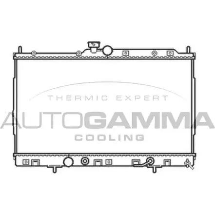 Радиатор охлаждения двигателя AUTOGAMMA 3852130 60 6DE W65OUF 105052