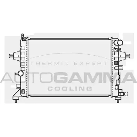 Радиатор охлаждения двигателя AUTOGAMMA CAAL 3 JZ6SWG 3852132 105054