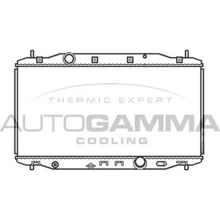 Радиатор охлаждения двигателя AUTOGAMMA 105099 F28D0 M EGSVOX 3852176 изображение 0