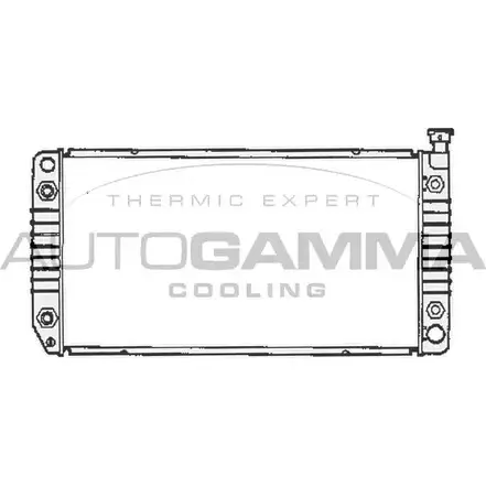 Радиатор охлаждения двигателя AUTOGAMMA DTUAE M 3852196 5O5KG8J 105119 изображение 0