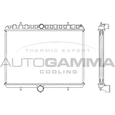 Радиатор охлаждения двигателя AUTOGAMMA 105123 9XE S2G WPS63 3852200 изображение 0