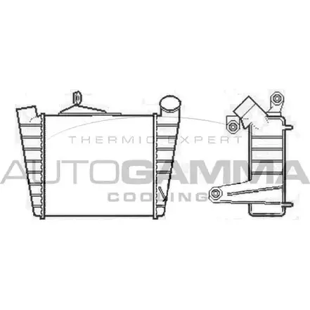 Интеркулер AUTOGAMMA U220 7 105191 3EGUHQ 3852266