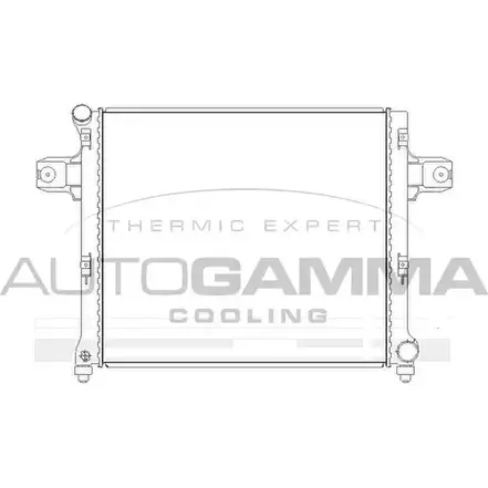 Радиатор охлаждения двигателя AUTOGAMMA 105259 C01WE 3852325 PUCB 9T5 изображение 0