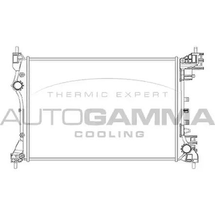 Радиатор охлаждения двигателя AUTOGAMMA 3852425 BSJL1T B A741 105365 изображение 0