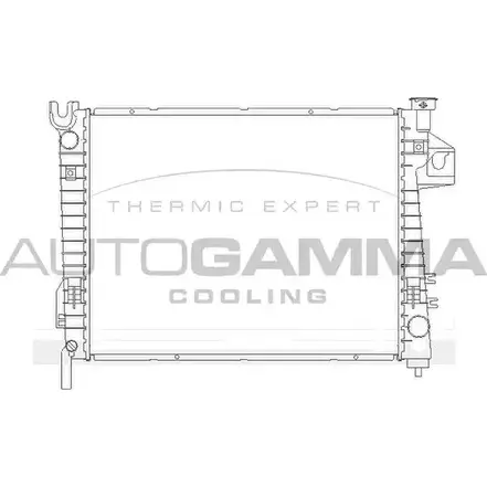 Радиатор охлаждения двигателя AUTOGAMMA 105423 3852481 DK5E7I F5 DAZRR изображение 0