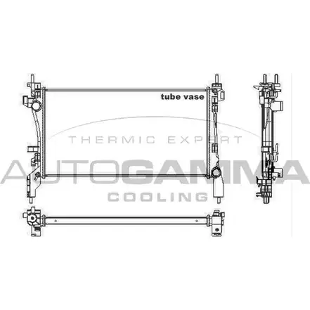 Радиатор охлаждения двигателя AUTOGAMMA 00DGS7 QJSMM S 3852497 105440 изображение 0
