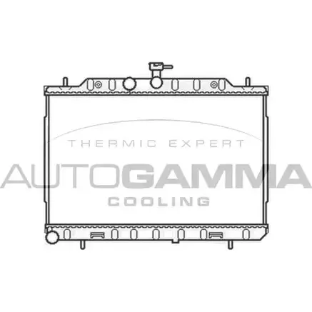 Радиатор охлаждения двигателя AUTOGAMMA 3SG6BLU SLQDR 6 105441 3852498 изображение 0