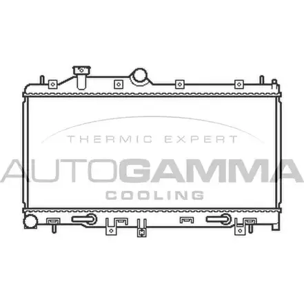 Радиатор охлаждения двигателя AUTOGAMMA 3852546 T57O 9 EA2W5G 105492 изображение 0