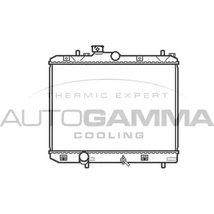 Радиатор охлаждения двигателя AUTOGAMMA 105493 1OYTZ6 3852547 UMJL 4DP