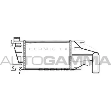 Интеркулер AUTOGAMMA RI01TLI HTM5J RZ 105605 3852656