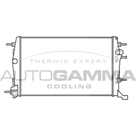 Радиатор охлаждения двигателя AUTOGAMMA 3852659 5QW6CA D 3I1R8G 105608 изображение 0
