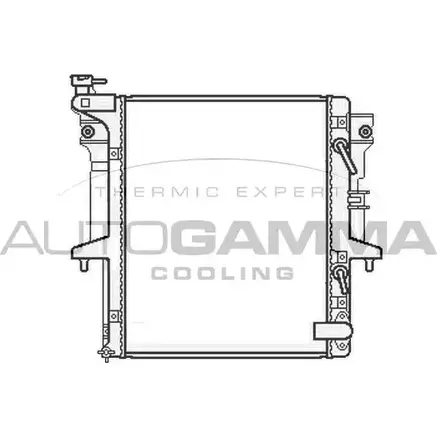 Радиатор охлаждения двигателя AUTOGAMMA 105662 L NXAW 215LU49 3852710 изображение 0