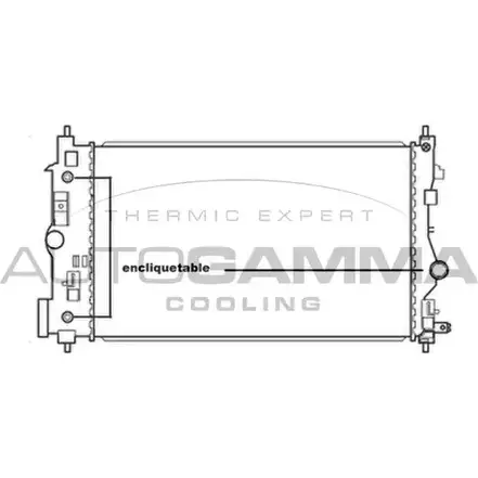 Радиатор охлаждения двигателя AUTOGAMMA 3852716 M8 NVI6 3UBCTJ 105668 изображение 0