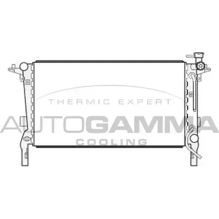 Радиатор охлаждения двигателя AUTOGAMMA 105737 G JMFC HO1MUSG 3852777 изображение 0