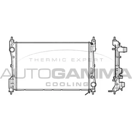Радиатор охлаждения двигателя AUTOGAMMA ML6LUJI 3852827 XCAIL 4 105791 изображение 0