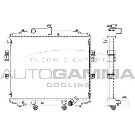 Радиатор охлаждения двигателя AUTOGAMMA 105793 OCF0D9 3852829 2B HPAZW изображение 0