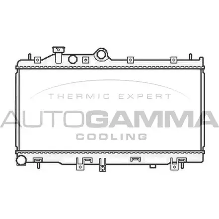 Радиатор охлаждения двигателя AUTOGAMMA 3ODRB2 105813 M1NP4 Z2 3852849 изображение 0