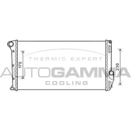 Радиатор охлаждения двигателя AUTOGAMMA 105873 TWGXN5 3852903 Z PCUDJ
