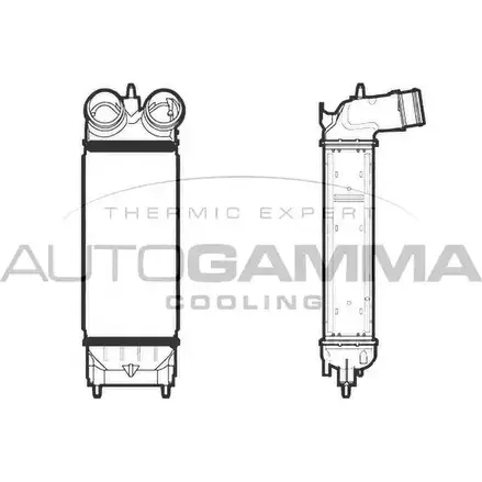 Интеркулер AUTOGAMMA 3852917 QF58EK7 105888 Z065 WP1 изображение 0