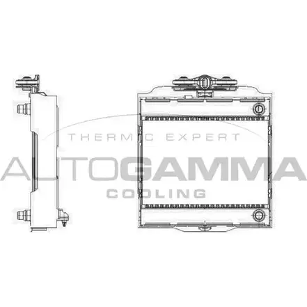 Радиатор охлаждения двигателя AUTOGAMMA 107010 NJZQO 6J1QP M 3853035