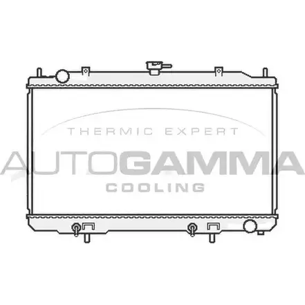 Радиатор охлаждения двигателя AUTOGAMMA 956JR HT 6HXPZ 3853040 107018 изображение 0