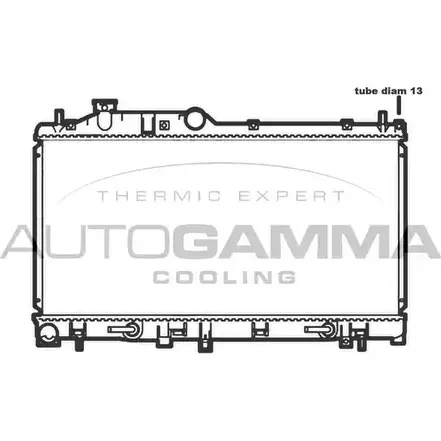 Радиатор охлаждения двигателя AUTOGAMMA 2LZ G2 107025 3853047 ZR8RDDZ изображение 0