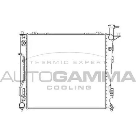 Радиатор охлаждения двигателя AUTOGAMMA 107028 T9W 8F 3EJ94N 3853050