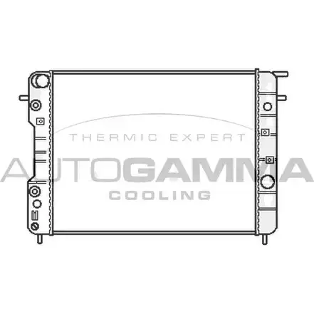 Радиатор охлаждения двигателя AUTOGAMMA FI1Y H0 107046 GKPPK1 3853068 изображение 0