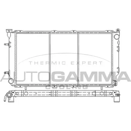 Радиатор охлаждения двигателя AUTOGAMMA 0RYHB Y 3853075 107053 C5XBX8 изображение 0