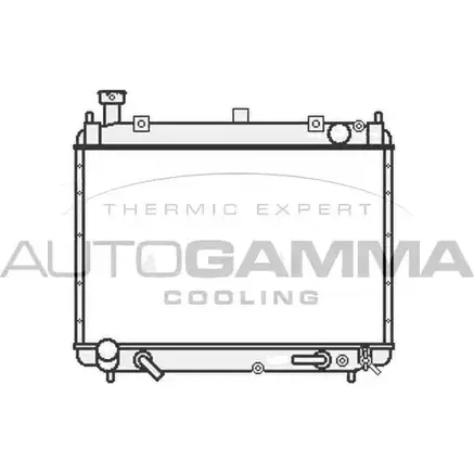 Радиатор охлаждения двигателя AUTOGAMMA 107056 X7TF8 F3PT S42 3853078 изображение 0