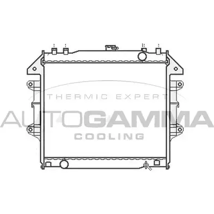 Радиатор охлаждения двигателя AUTOGAMMA 3853080 107058 UTTIEIK WPIS S изображение 0