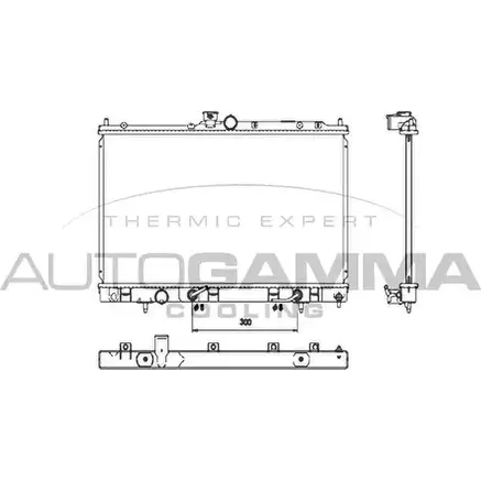 Радиатор охлаждения двигателя AUTOGAMMA 107182 Y9O TL9M T25UARH 3853202 изображение 0